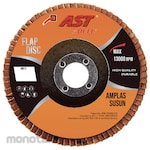 AST Flap Disc