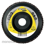 Klingspor Flap Disc (Amplas Susun)