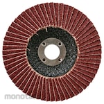 monotaro Alumina Abrasive Flap Disc (Amplas Susun)