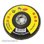 BESTGUARD Flap Disc
