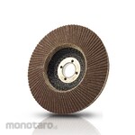 ICHIGUCHI Techno Flap Disc Conical