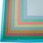 YANASE wrapping film sheet