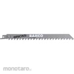 BAHCO Saber saw with carbide tip
