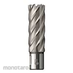 BDS Mata Bor Magnet Standar TCT Panjang