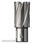 BDS Mata Bor Magnet Standar TCT Pendek