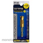 ESCO Hexagonal Shank Drill Bit 1/4inch, 1 Piece 12.0x65mm (Mata Bor Heksagonal)