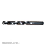 BENZ WERKZ Straight Shank HSS Drill Bit Jobber (Mata Bor Lurus)