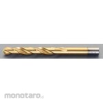 ESCO Straight Shank Drill (TiN-HSS/10 Pieces) EA824FL Series (Mata Bor Lurus)