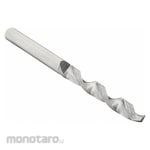 MICRO 100 Straight Shank Metalworking Micro Drill Bits (Mata Bor Lurus)