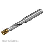 Sandvik Straight Shank Drill Solid Carbide CoroDrill 860-GM Series (Mata Bor Lurus)