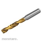 Sandvik Straight Shank Solid Carbide Drill CoroDrill 860-PM Series (Mata Bor Lurus)