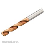 Sandvik Straight Shank Solid Carbide Drill CoroDrill Delta-C Series (Mata Bor Lurus)