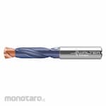 WALTER TITEX Straight Shank Coolant Fed Drill Carbide (Mata Bor Lurus)