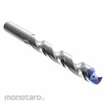WALTER TITEX Straight Shank Jobber Drill Carbide Tip (Mata Bor Lurus)