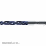 WALTER TITEX Straight Shank Jobber Length Drill Bit (Mata Bor Lurus)