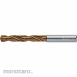 WALTER TITEX Straight Shank Jobber Length Drill Bit (Mata Bor Lurus)