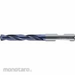 WALTER TITEX Straight Shank Jobber Length Drill Bit (Mata Bor Lurus)