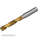 Sandvik CoroDrill 860-PM Solid Carbide Drill (720)