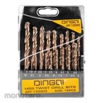 Dingqi Drill HSS Bit Set