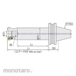 Moldino Tooling Tools for BT Shank