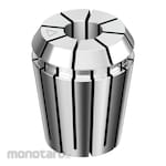 Rego-Fix ER-11 Collet Standard Millimeter (Chuck Kolet)