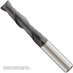 SPEED TIGER 2-flute vibration proof long end mill