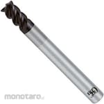 OSG Carbide Corner R End Mill (FX Coat Powerful Multi-Function) (FXS-PKE)