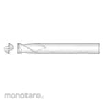 LBC 2 Flutes Solid Carbide Endmill