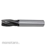 CHAIN SENG Long Finishing End Mill AISA Series