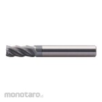 HPMT Endmills With Weldon, 5 Flutes