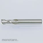 Moldino (Mitsubishi Hitachi Tool) Nk End Mill 2-Flute Long Blade
