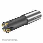 Walter Indexable Profiling End Mill