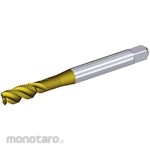 KENNAMETAL M10X1.5.6HX RHSF