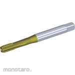KENNAMETAL M18X2.5.6HX STFL SBOT 376 CH HSS-E-PM