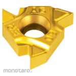 TAEGUTEC Threading Insert