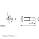 Tungaloy Clamping Screw ACS-W