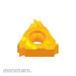 ZCC-CT Threading Insert RT16.01W Series