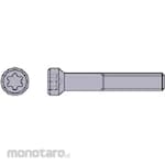 Mitsubishi Materials Torx Flat Head Clamping Screw for Indexable Holder (Sekrup)