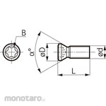 Sumitomo Electric Hard Metal Countersunk head screws