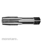 SOMTA Carbon Steel Parallel Pipe Tap Set (Set Mata Tap)
