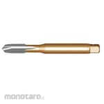 DORMER Spiral Flute Tap HSS-E DIN-M Form-B (Tap Ulir)