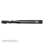 OSG Pointed Tap HSE Type 1 2B DIN2182 VA-POT (Tap Titik)