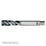 OSG Spiral Flute Tap FORM E 6HX DIN376 A-SFT (Tap Ulir)