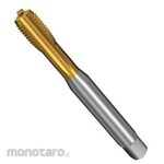 Sandvik CoroTap 100 Straight Tap (780)
