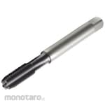 Sandvik CoroTap 100 Straight Tap A110 (for cast iron)