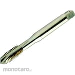Sandvik CoroTap 200 Point Tap (780)
