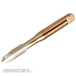 Sandvik CoroTap 200 Point Tap (781)
