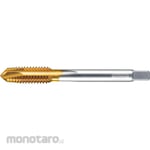 Sandvik CoroTap 200 Point Tap (For Metric Thread) TiN Coated (Tap Titik)