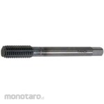 TDT (Tanoi) Carbide double turflet TC-W-TF