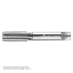 WALTER PROTOTYP High-Speed Steel Straight-Flute Hand Tap